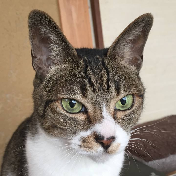 205da1a0 318e 4217 9859 7fb97983aac5