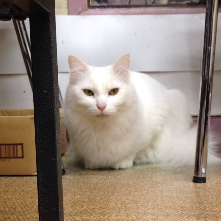 205eb337 1d5f 481f b044 3e8d748e20cc