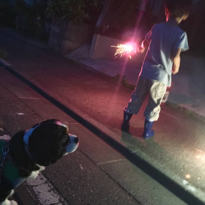 205f4cc4 3c81 4e1c 9dee a54951dd73e2