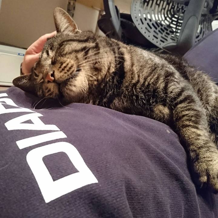 205fc0b0 0df1 4492 ae45 620783ac1af8