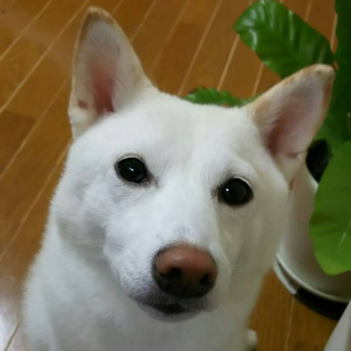 20604671 b36e 47ac 9aa2 bac5a159ad6d