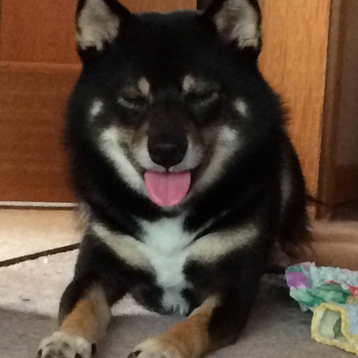 20604c8f 30ae 4133 af9d ec638c56fbdb