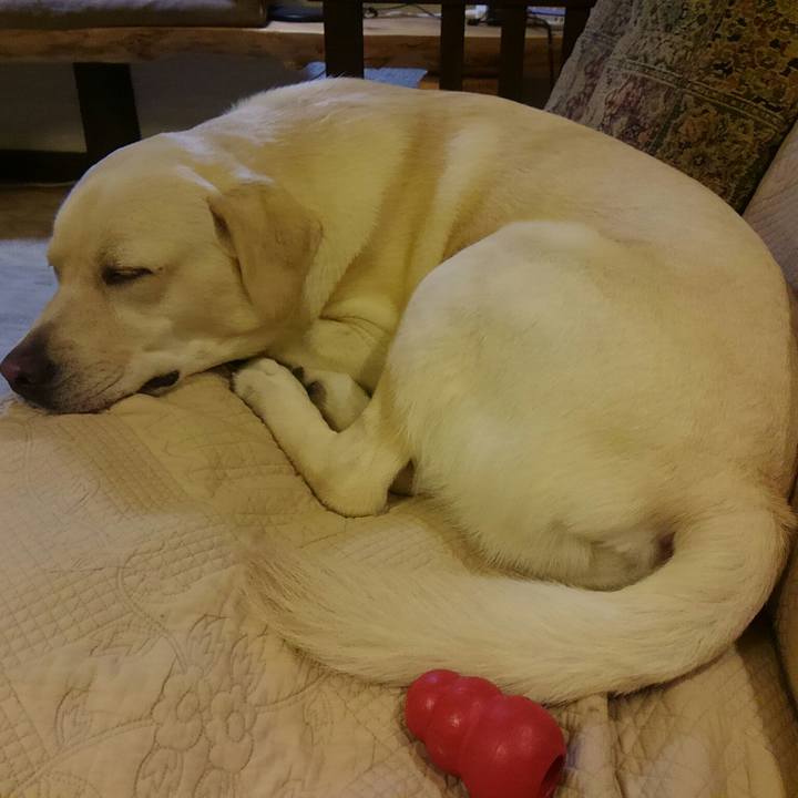 2060577a 5b31 498b a628 72269a6e424d