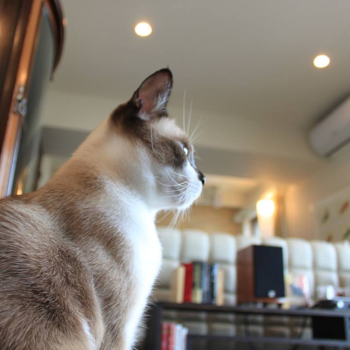 2060ee07 dbde 4e7a a1ac 3bfde1af8e43