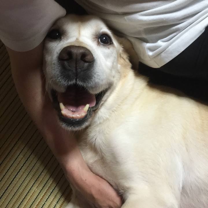 20620ced e52d 475d 8e5c 7a27f83b7520