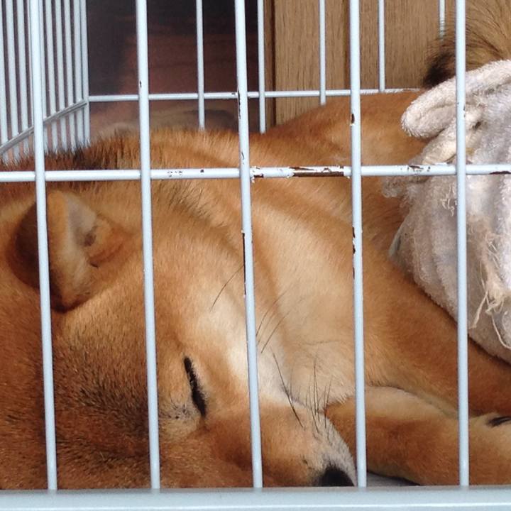 20622a06 63f9 467c 85b4 112434a8f6f2