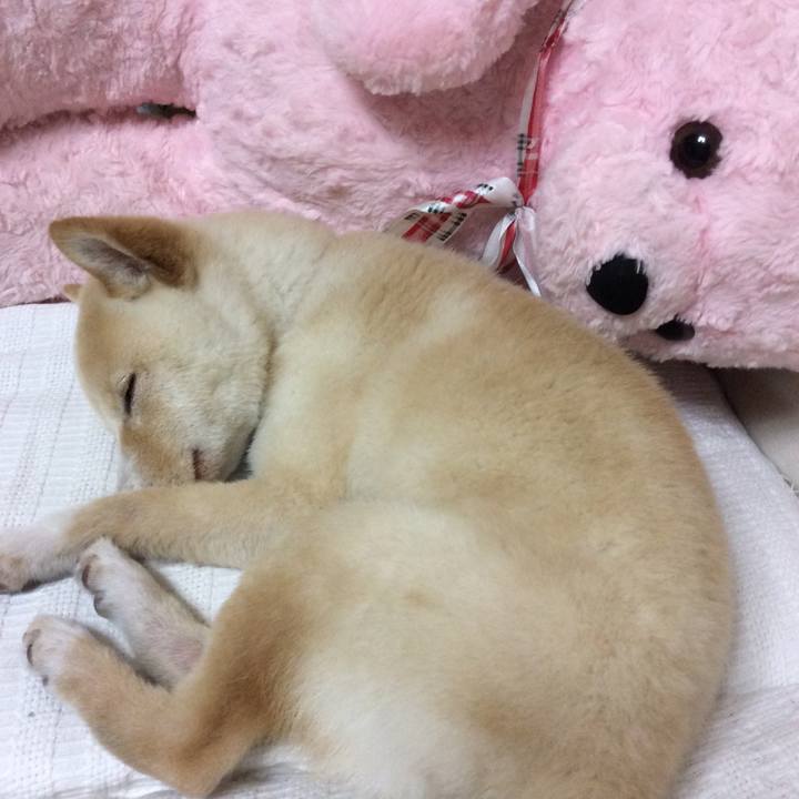 20626fd8 8e75 463a a74b d62299371bfa