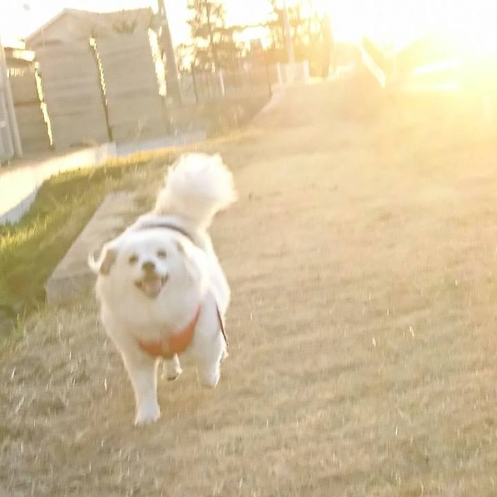 20632174 6f5f 4b62 8e57 9d5264928acc