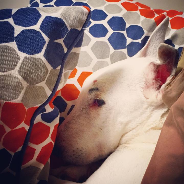 20635582 b89a 4e60 90fc ef02fa6cda8f