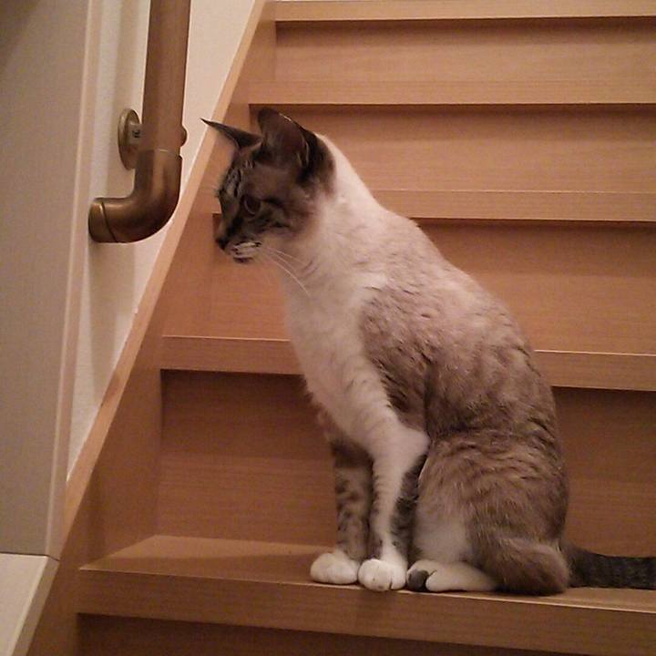 2063567e 5c12 4451 8413 e776fd678ece