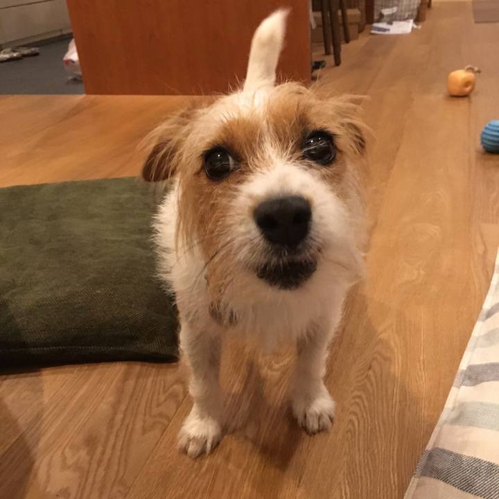 20636fef ba5a 49b2 94d4 933ba19af95f