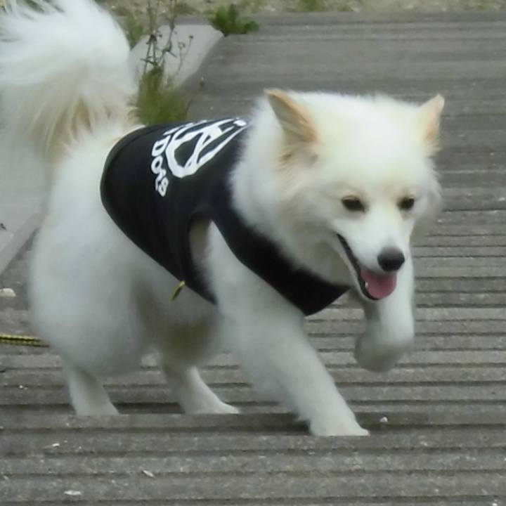 2063808f ae51 4b0d 84e8 be3239ea3432