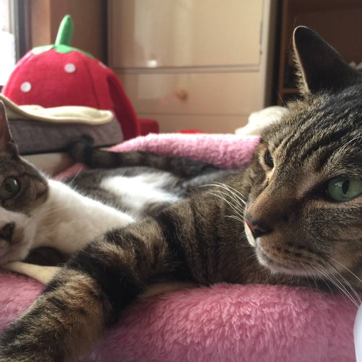 2063b3b8 7344 4c3b 8d71 acc7cf89225b