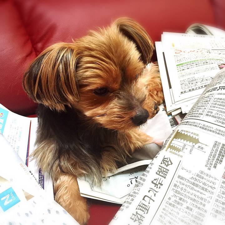 20648e5d afc5 4b23 8af6 3d5ab882f44e