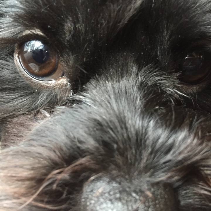 206540d7 82e2 4c5e a098 0a8688308007