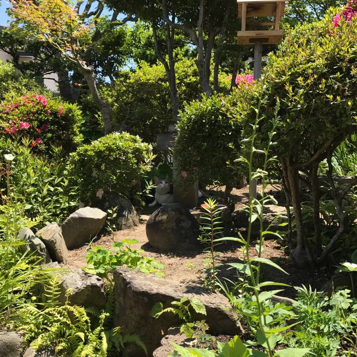 2065c96c 6760 4999 bc5d 40e4c0921bde