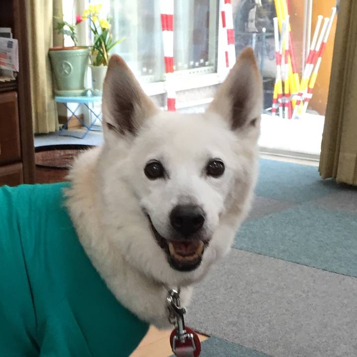 2065e86e d922 417b a739 286005f1fbf8