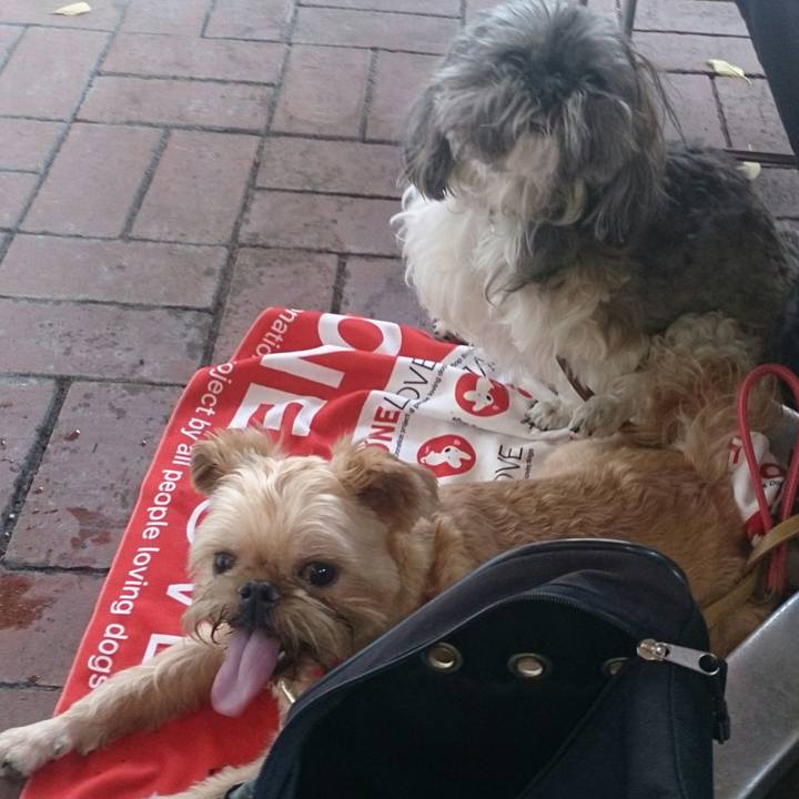 20669740 77ec 493a be8e f1baf3136ade