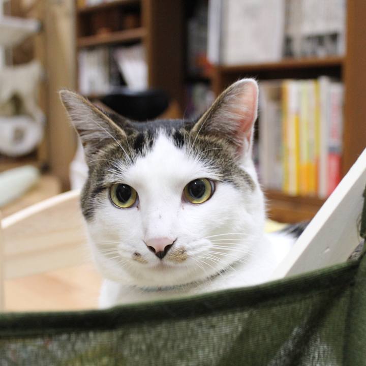 2067294b 9d5d 429c 8525 b98103e8d339