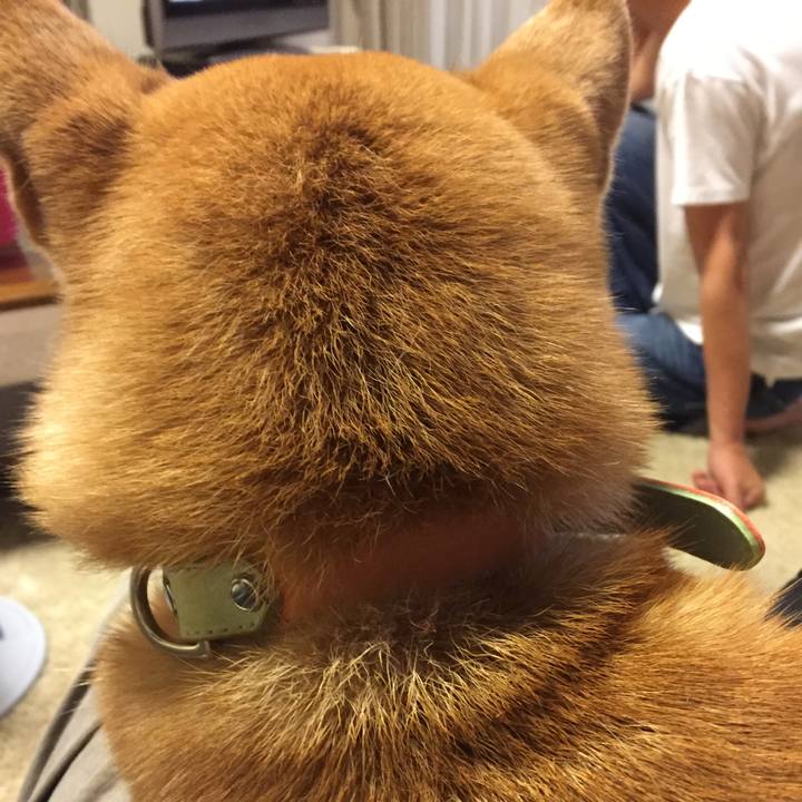 2068c0d2 0141 4418 bf60 b1ce513929fa