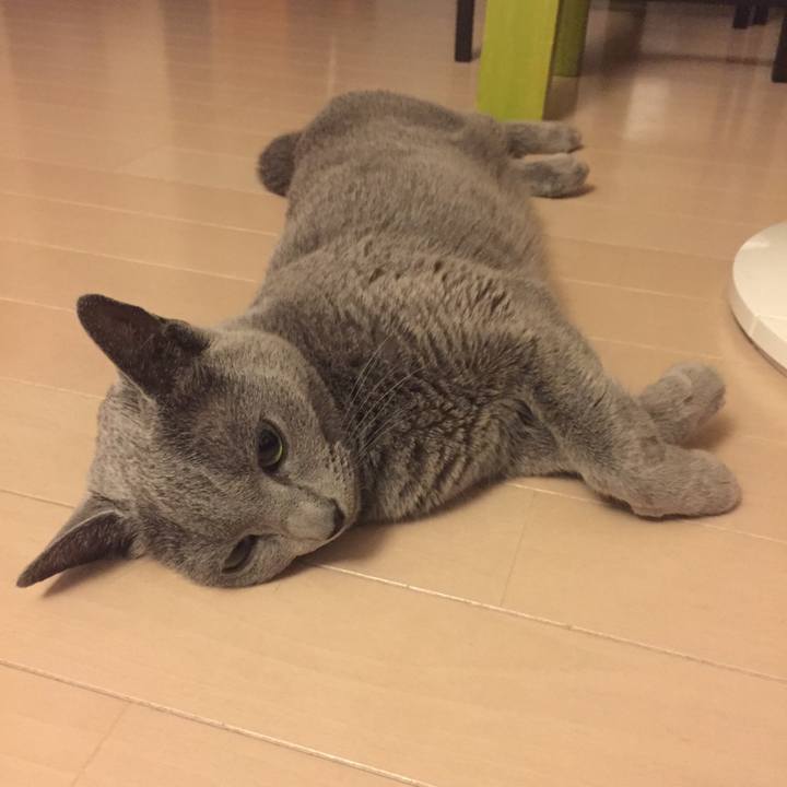 2068c44b 4703 431b 8c4c 0707e1fcc142