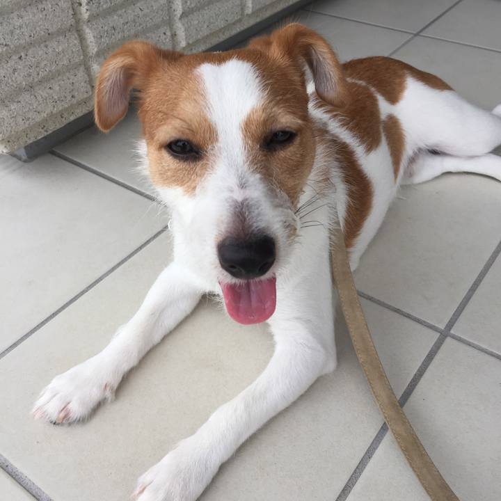 206a10c7 6d2d 4522 bbd9 ca2e8a72a900