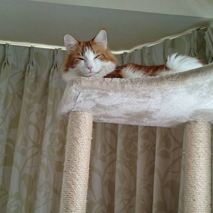 206a44a5 ea40 4f90 b379 324b1cd87c23