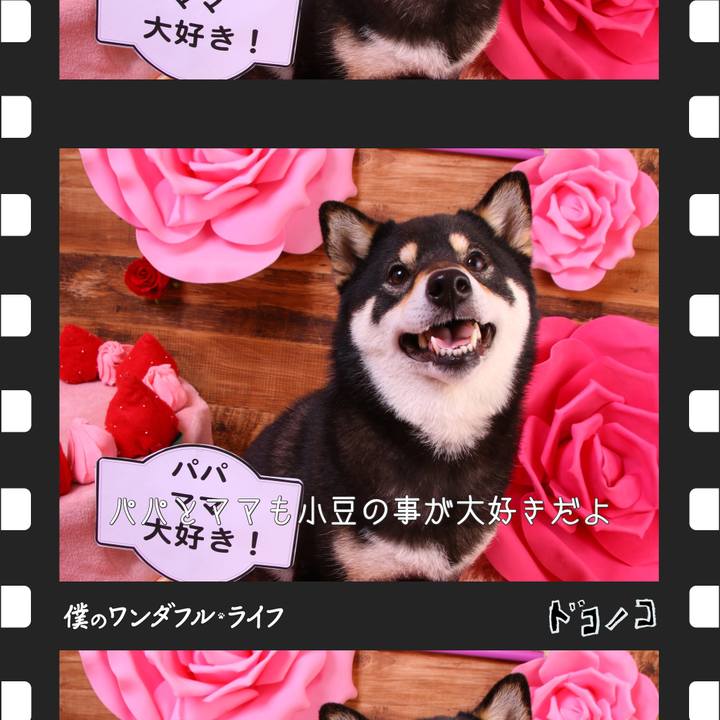 206ae2d8 9543 4e31 9382 5fea0f6e8239