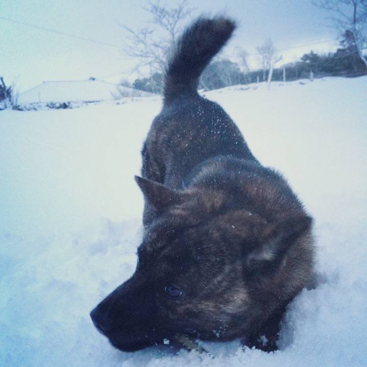 206af731 f790 434d a55f 327076b5599c