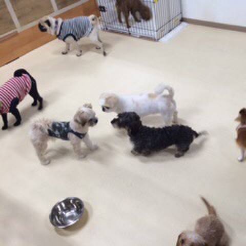 206b11db b4e2 44ae 9078 bd705a23ec27