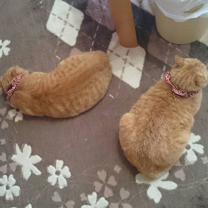 206b2b86 1e05 4490 a16b bf80e833c136