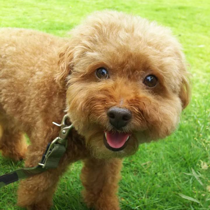 206b6d31 8ae1 4f77 8277 81bf4ab71920