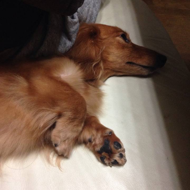 206b9f27 d3dc 44cc 8a90 cd5495927c38