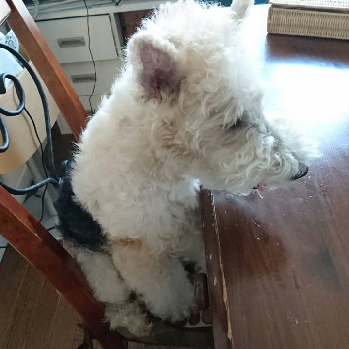 206c0159 68bf 4de2 b9a8 52cd211a3308