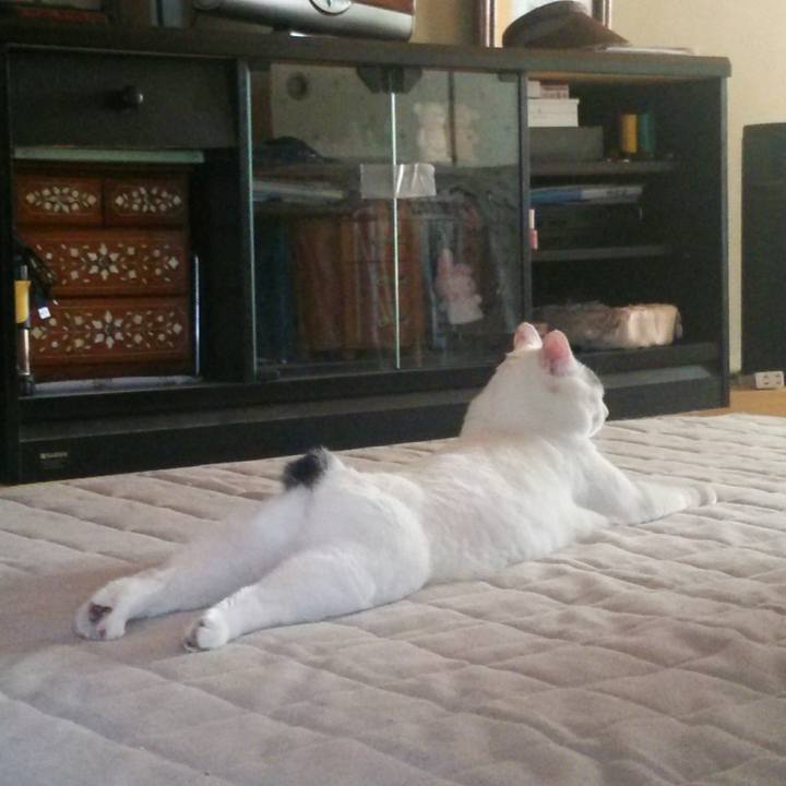 206c3889 22ee 482e 89e5 64e99fcad023