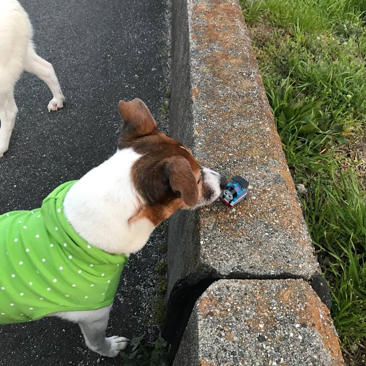 206ce50e 6489 4b50 8256 74379a272d72