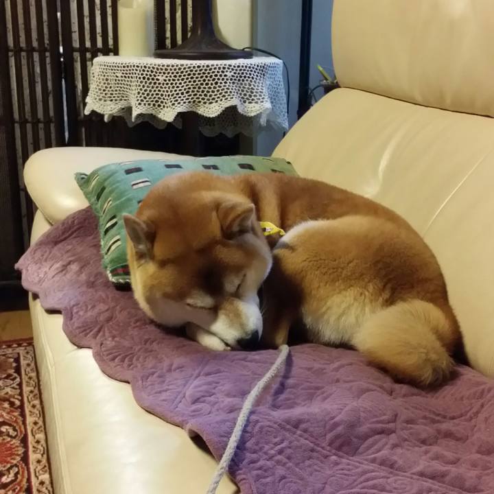 206d4dab abc1 46a3 8d93 4bfb37715063