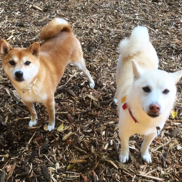 206d7cb7 94c7 4d83 b18e 1cd274cce7bf