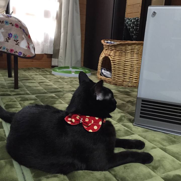 206da9c7 d0f3 434e b3b6 19cc25205613