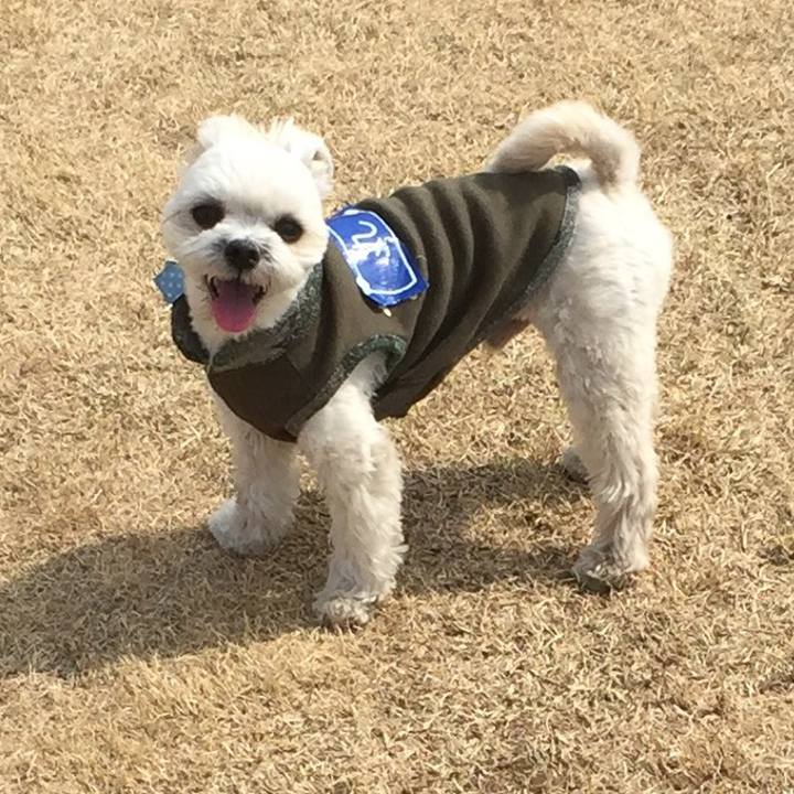 206dafb3 3b8f 4603 bacc b662a8068cee