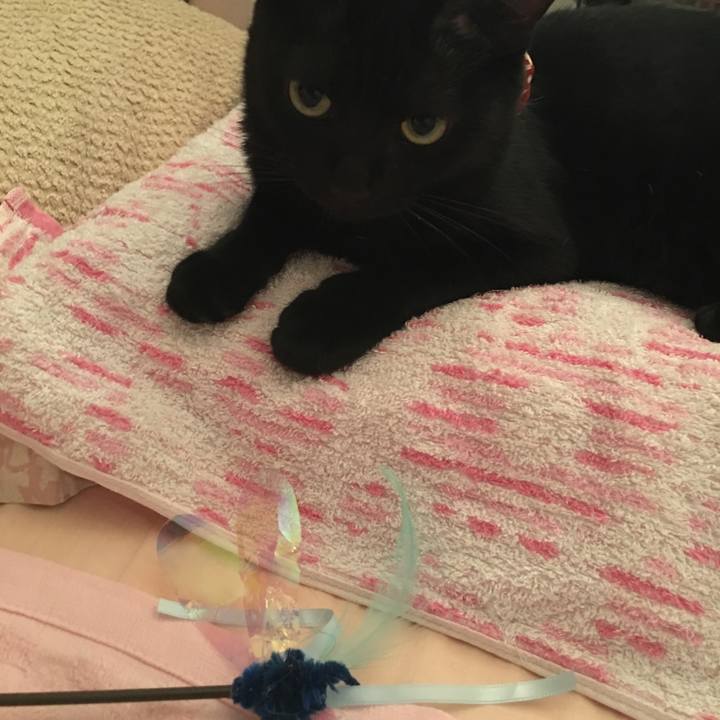 206dfc9e 00f6 46ef b8ca 4b803434bcf7