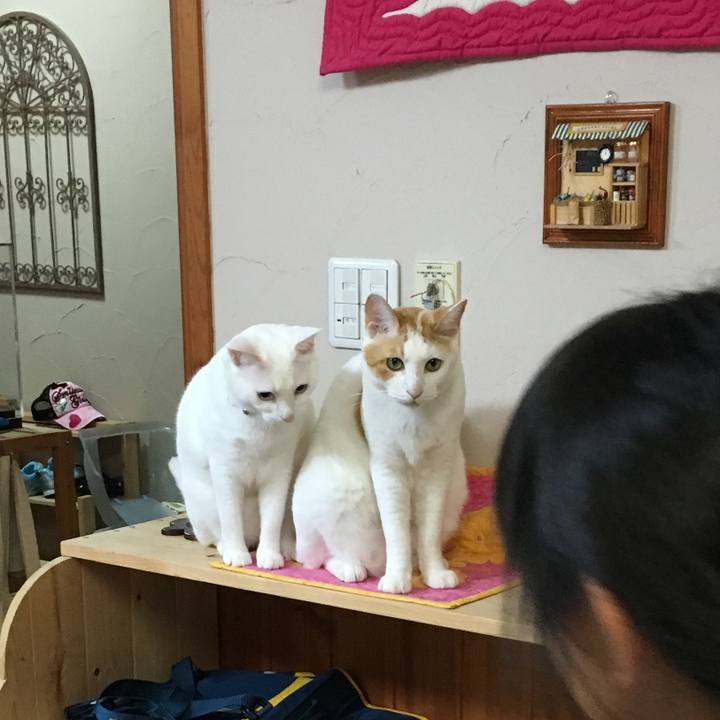 206e2d66 4301 4da7 ba64 c26dfa51ffff