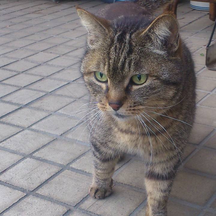 206ecd94 024a 4f81 a70a 3b9270285f72