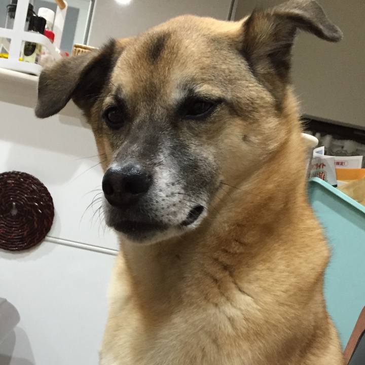 206fc75f e82a 4b1d 839b 080d9b474c22