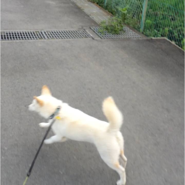 206fdf9e 3727 4449 825a 62cb0c06fb79