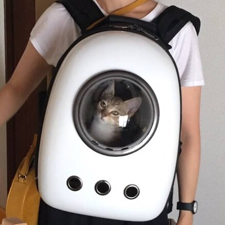 20701958 dc70 4112 b069 d4336fb015fc