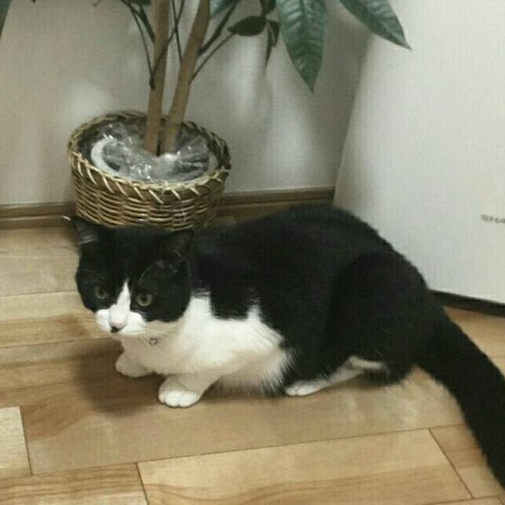 20705ebc 03f9 4b2b 823a a6952a791913