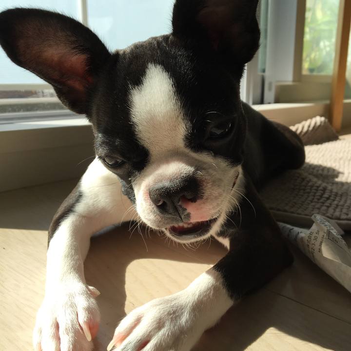 20715789 e367 4649 9427 a16ef7de6f5b