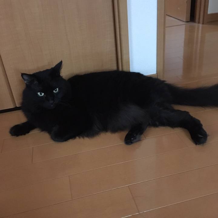 2071645c adc1 4c76 87c5 e4f90ce2b4c2