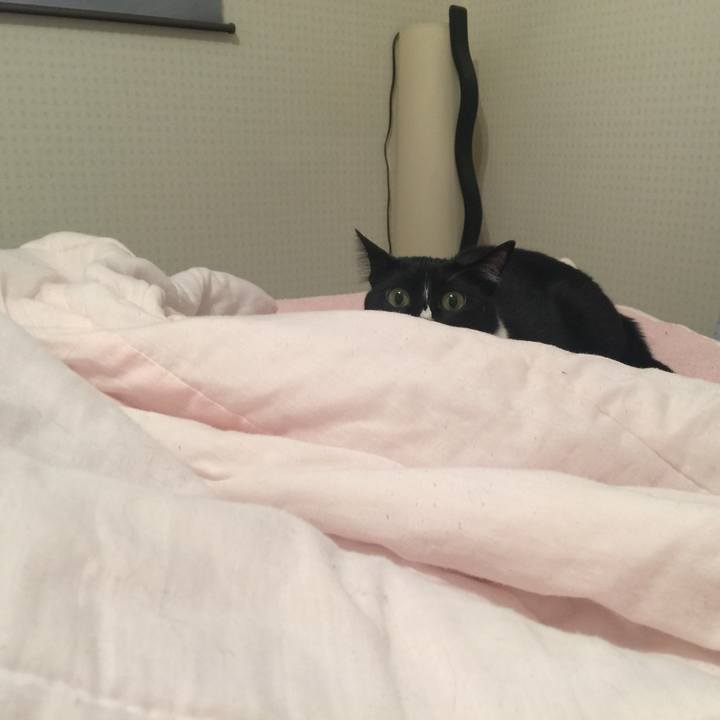 20722d9a ef11 4309 b685 b514b1e301cc